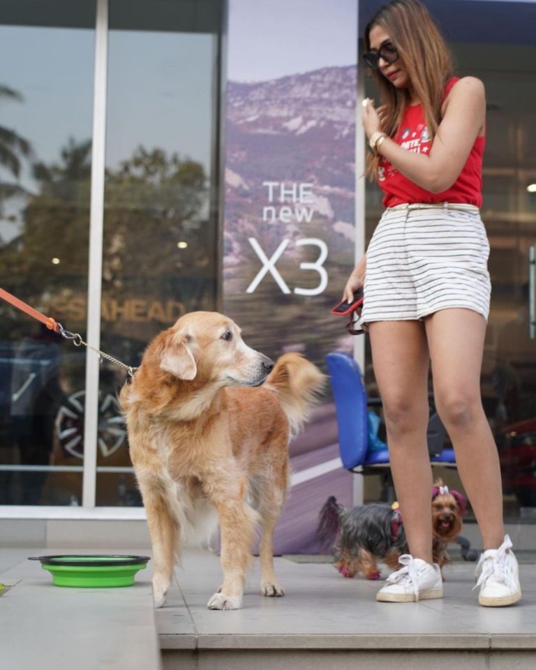 Pet Friendly BMW Drive