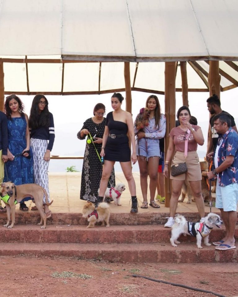 BMW Pet Awareness Drive