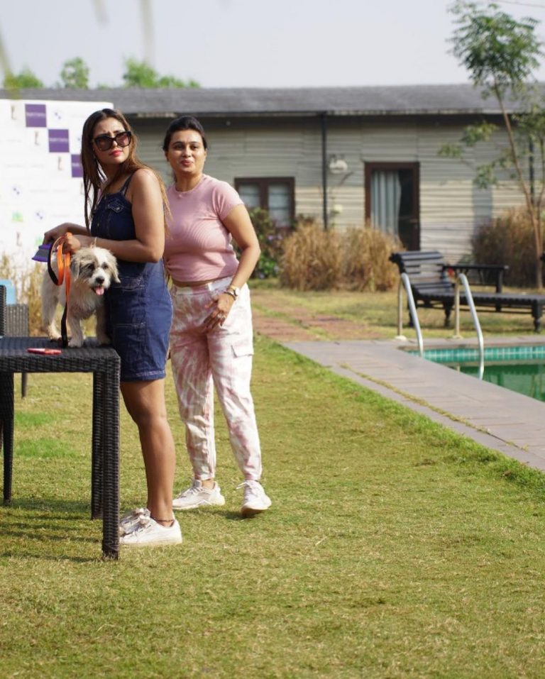 Pet Safety Drive With BMW