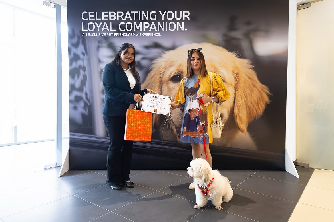Pet Friendly BMW Workshop Event - BMW Infinity Cars